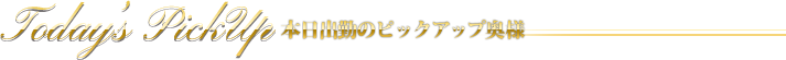 ピックアップ奥様