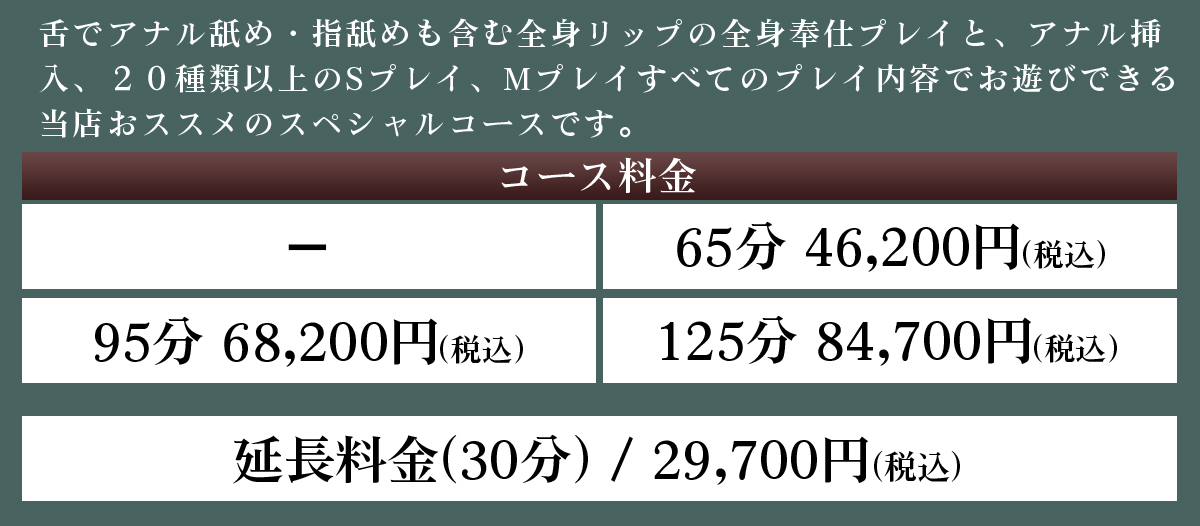 A+全身奉仕コース料金