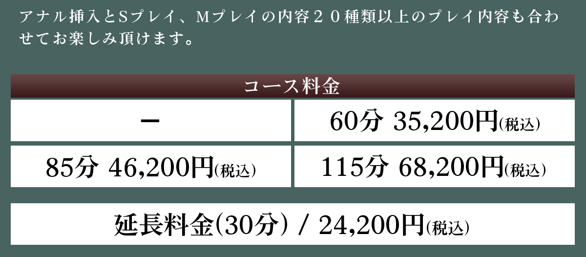 Aコース料金