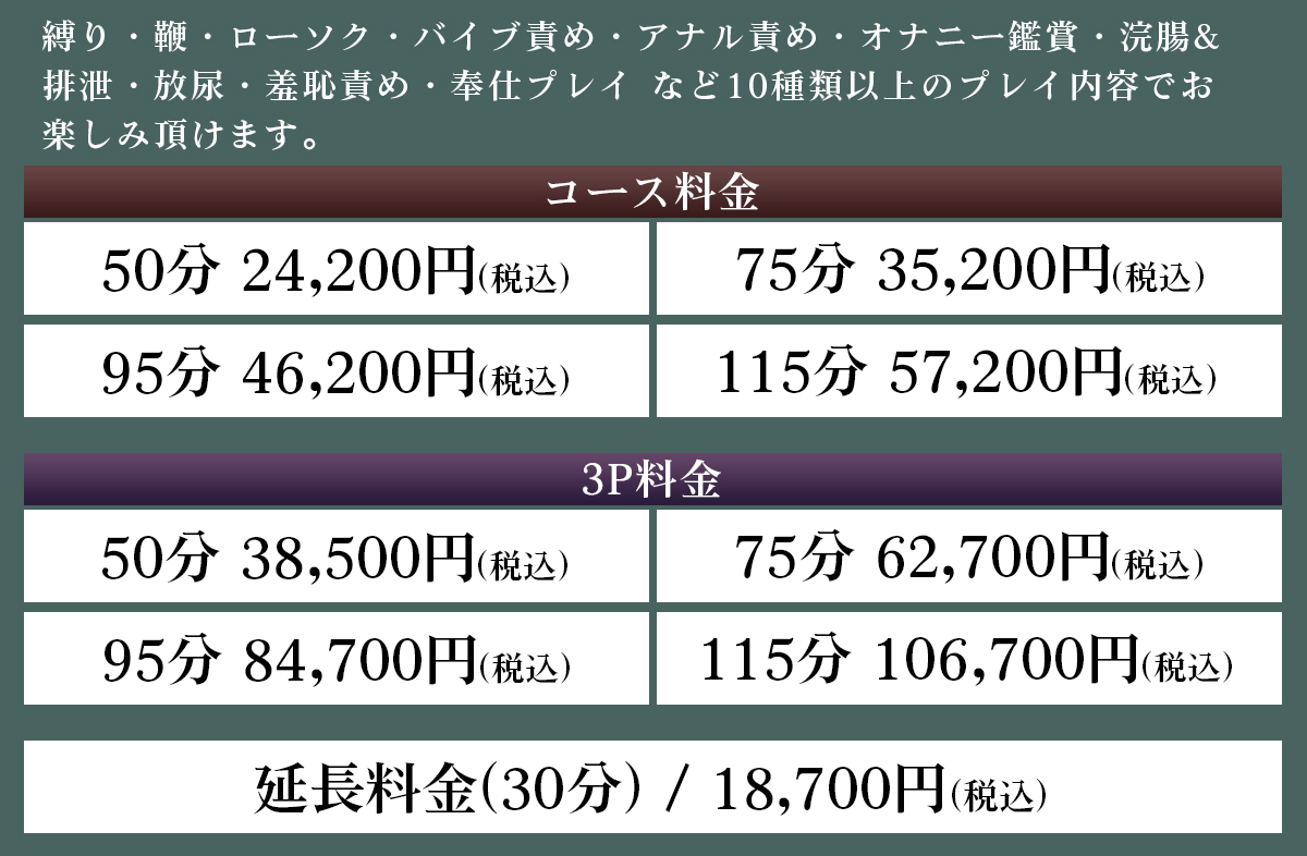Sコース料金