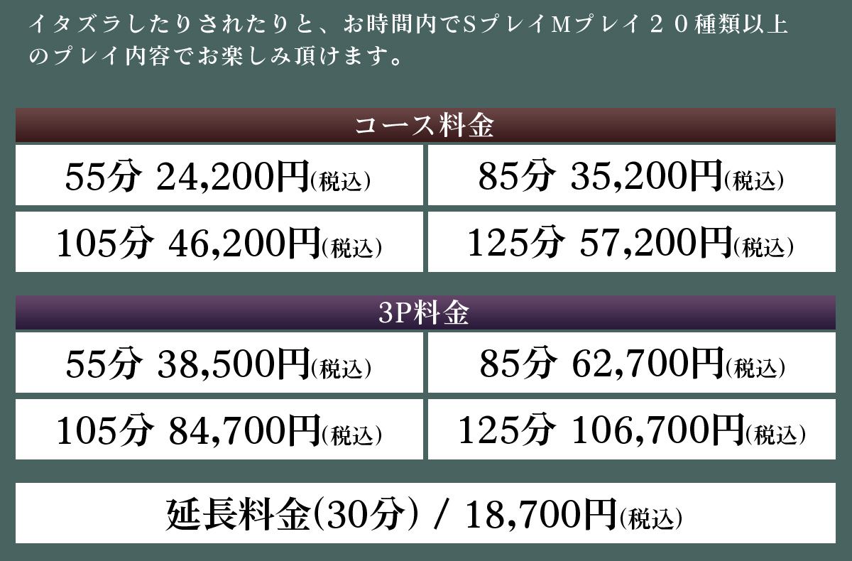 SMコース料金