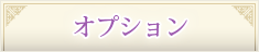 オプション